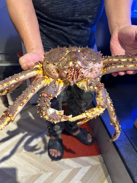 Alaska King crab